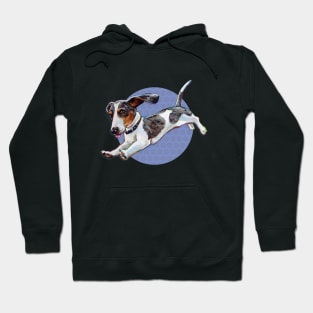 Super Cute Dachshund Pattern Hoodie